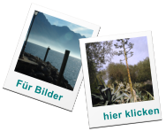 Fr Bilder hier klicken