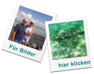 Fr Bilder hier klicken