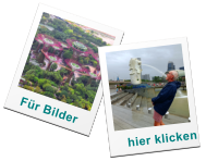 Fr Bilder hier klicken